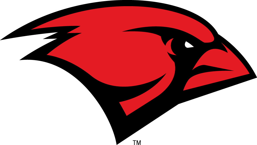 Incarnate Word Cardinals 2011-Pres Primary Logo DIY iron on transfer (heat transfer)